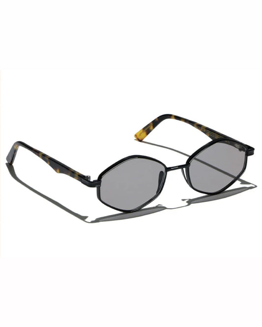 LGR Tigray Black Havana Turtle
