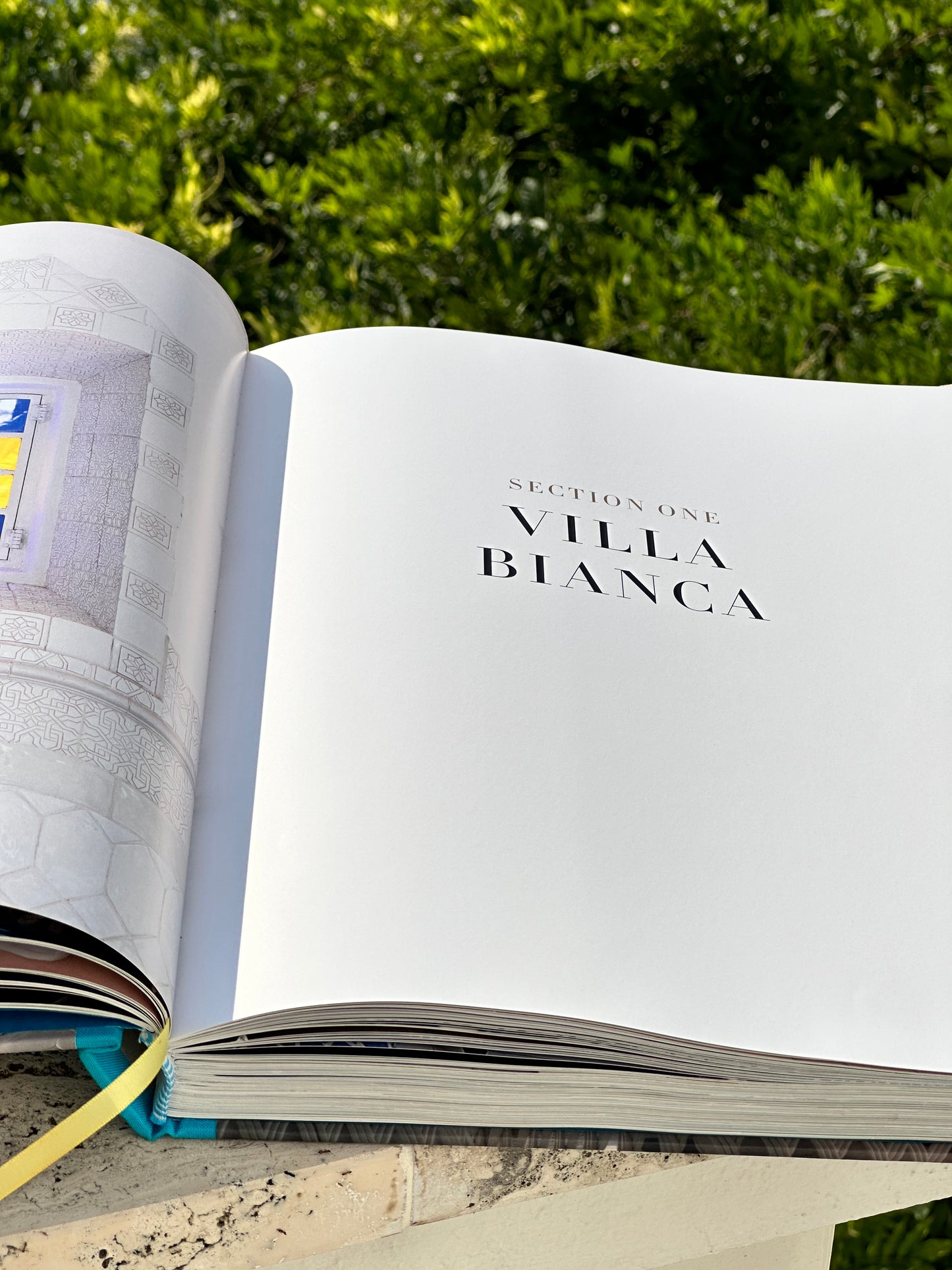 Villa Treville - Franco Zeffirelli’s Paradise in Positano Book